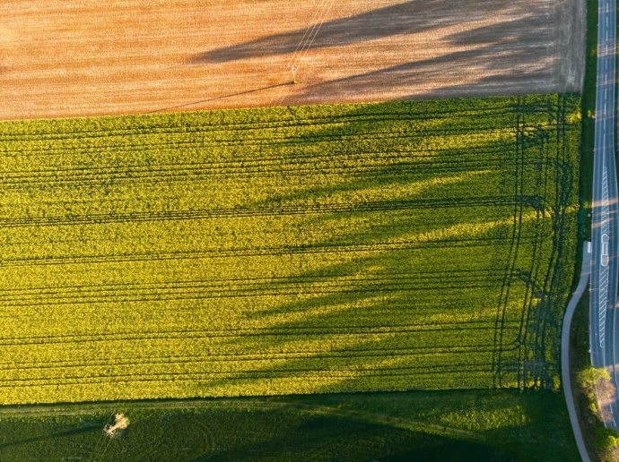 Drone Technology In Agriculture