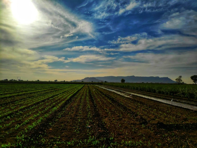Climate-Smart Agriculture (CSA)