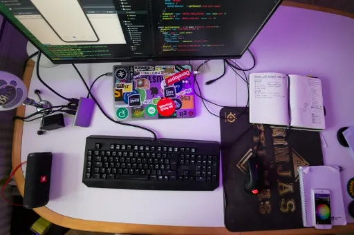 Game Developer